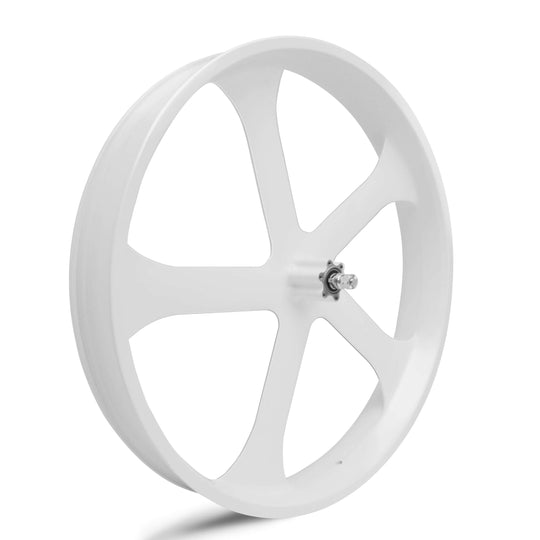 WH-EDS-A4248800 E-Bike Wheel Set with 800W 48V Motor for Disc Brake