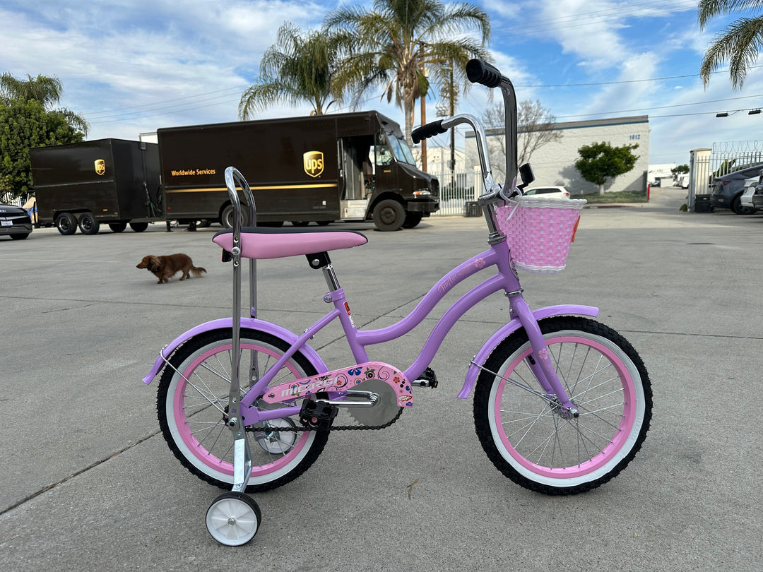 Micargi Taylor 16" Bicycle Low Rider Kid Bike with Training Wheels