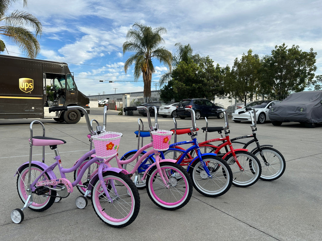 Micargi Taylor 16" Bicycle Low Rider Kid Bike with Training Wheels