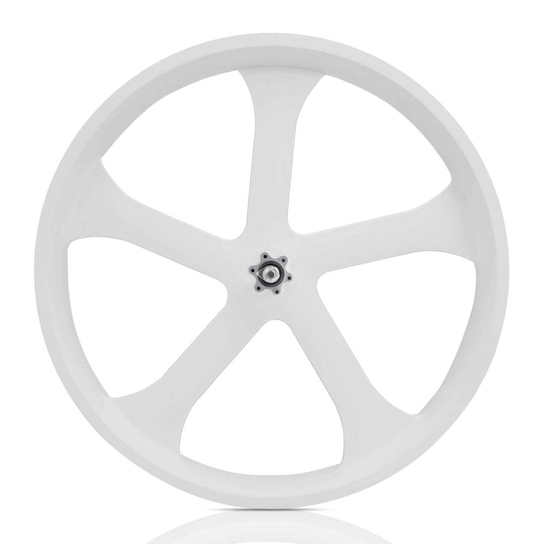 WH-EDS-A4248800 E-Bike Wheel Set with 800W 48V Motor for Disc Brake