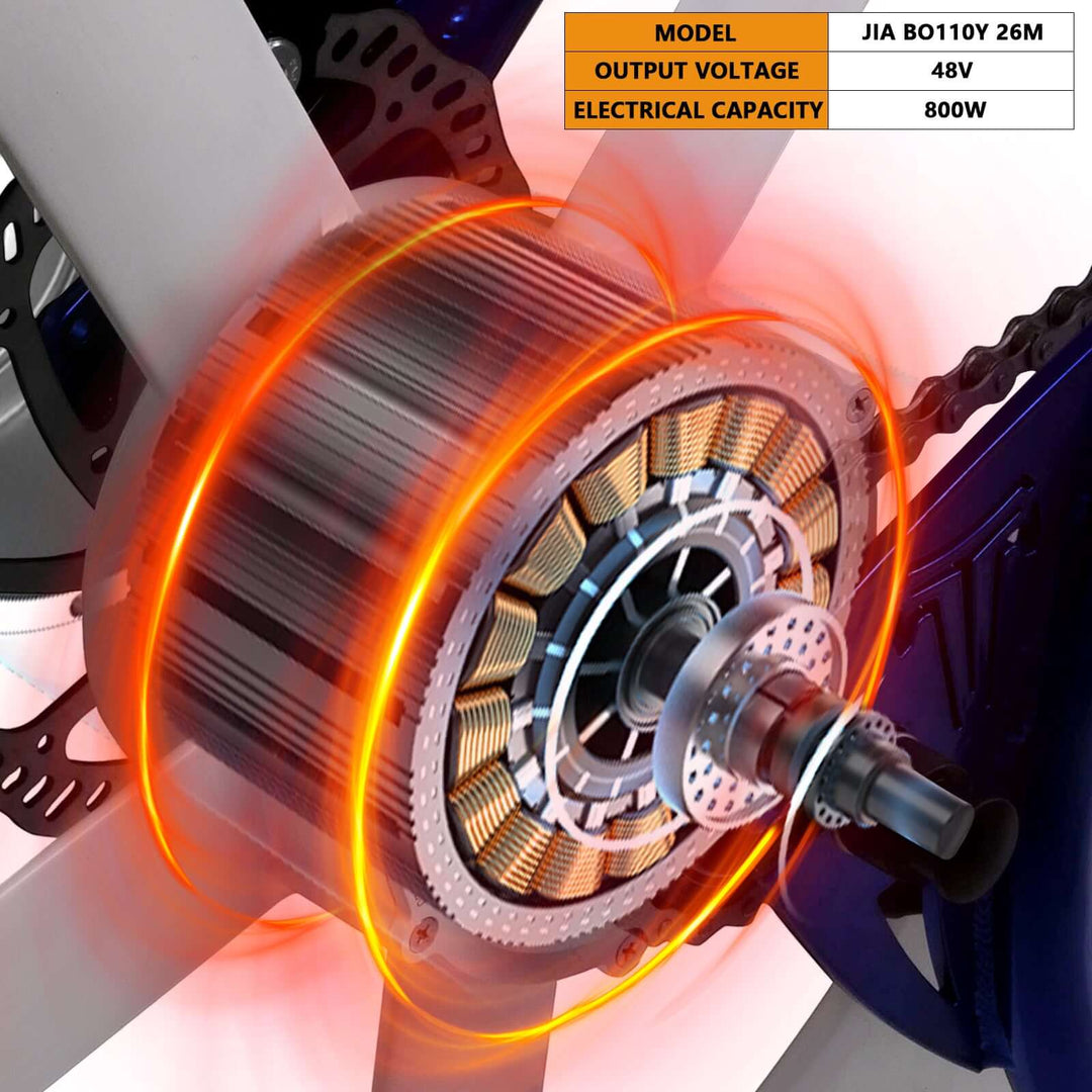 WH-EDS-A4248800 E-Bike Wheel Set with 800W 48V Motor for Disc Brake