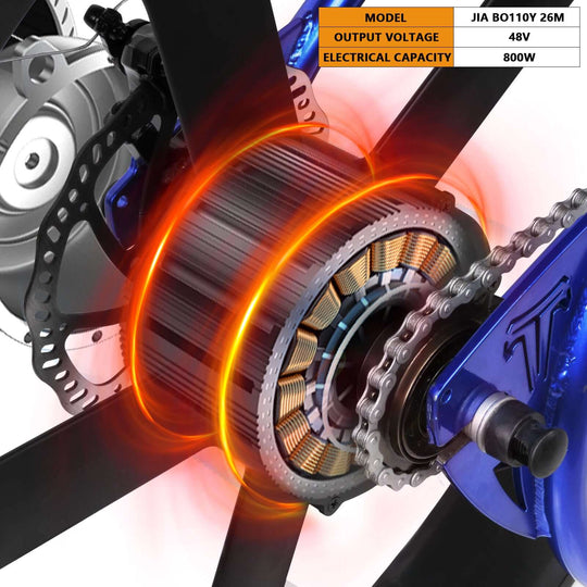 WH-EDS-A4248800 E-Bike Wheel Set with 800W 48V Motor for Disc Brake
