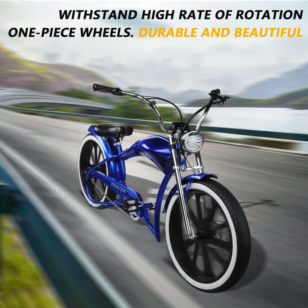 WH-EDS-A4248800 E-Bike Wheel Set with 800W 48V Motor for Disc Brake
