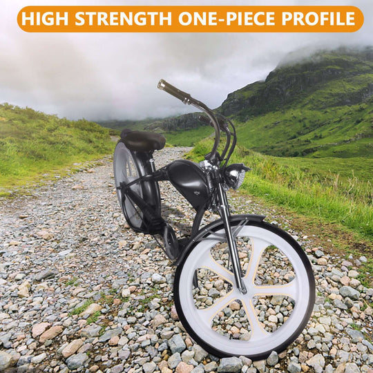 WH-EDS-A4248800 E-Bike Wheel Set with 800W 48V Motor for Disc Brake