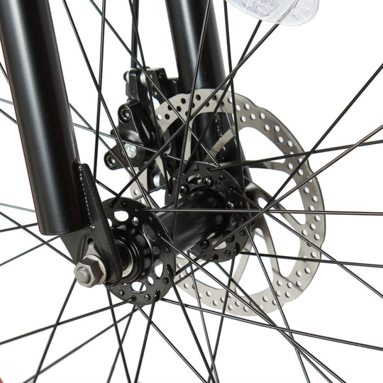 Micargi Slugo SS Female 26"*4" Fat Tire with 7-Speed Disc Brake Beach Cruiser Bike