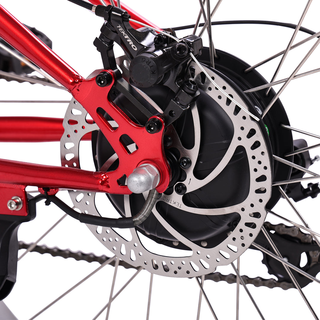 Micargi Raiatea 500W Tandem Electric Bicycle