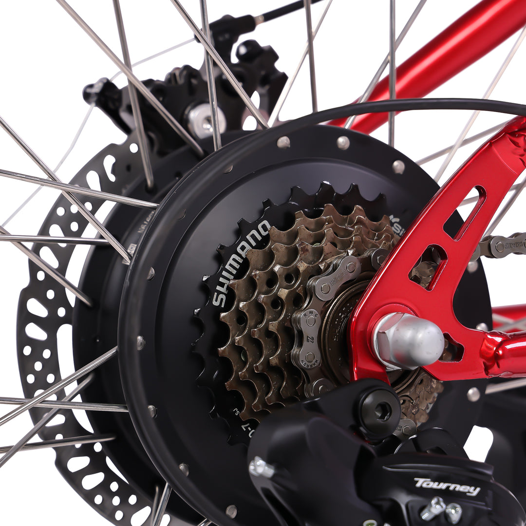 Micargi Raiatea 500W Tandem Electric Bicycle