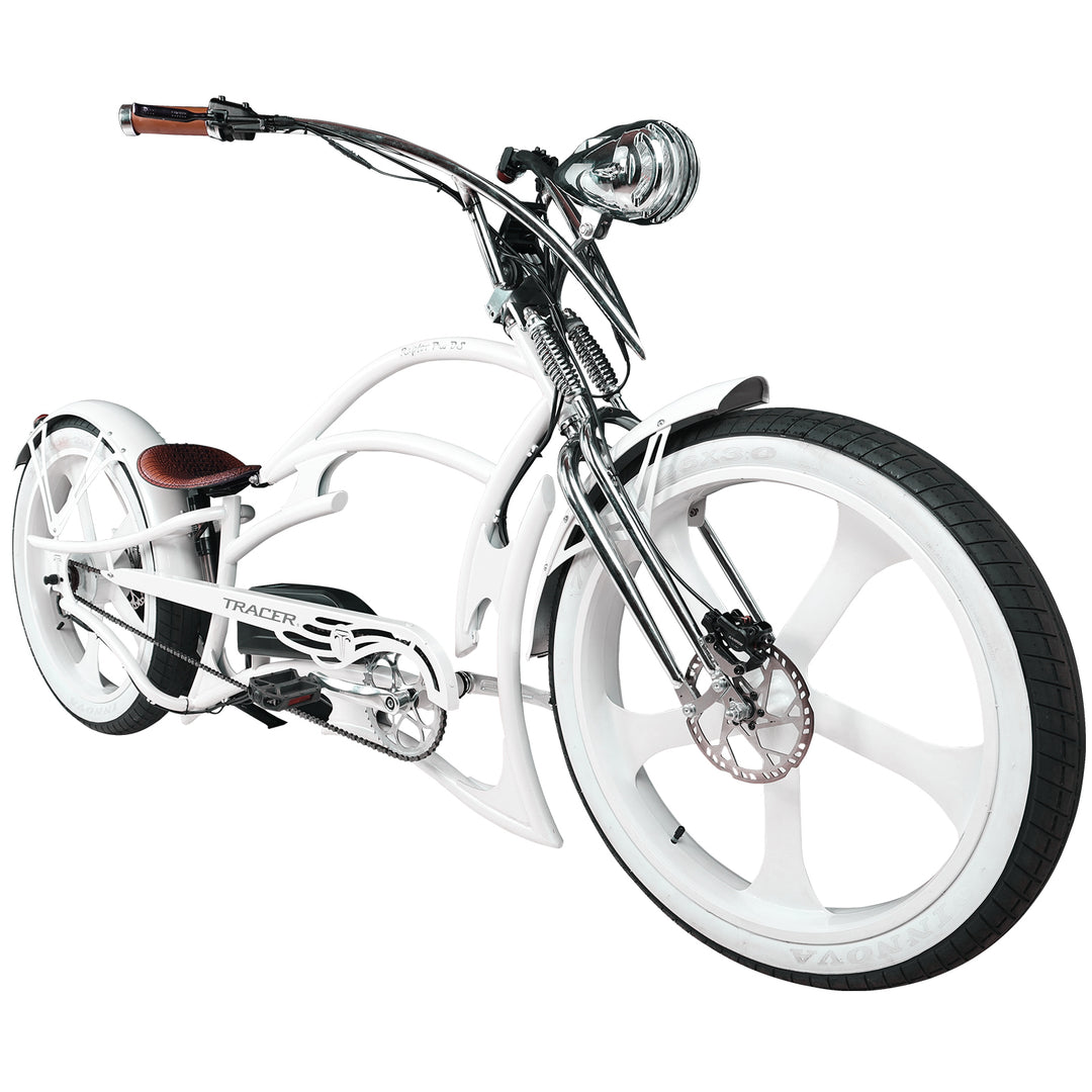 26" Raptor Pro DS Electric 5-speed, 800W Chopper Fat Tires Bike