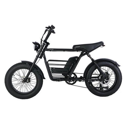 20" Verge 800W Fat Electric Motorbike
