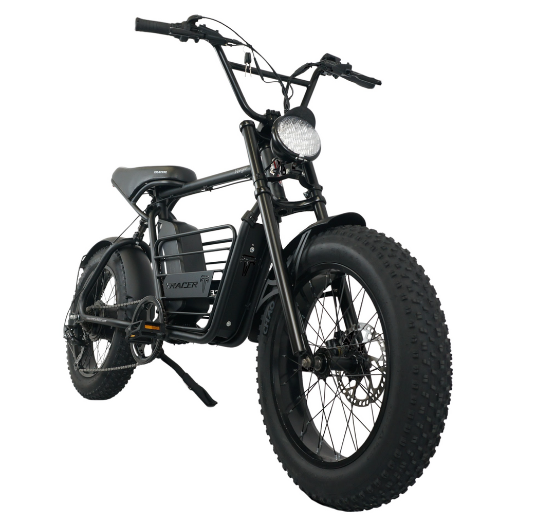 20" Verge 800W Fat Electric Motorbike