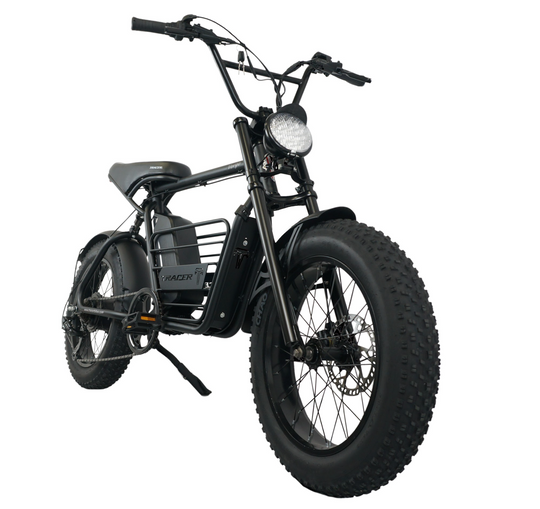 20" Verge 800W Fat Electric Motorbike