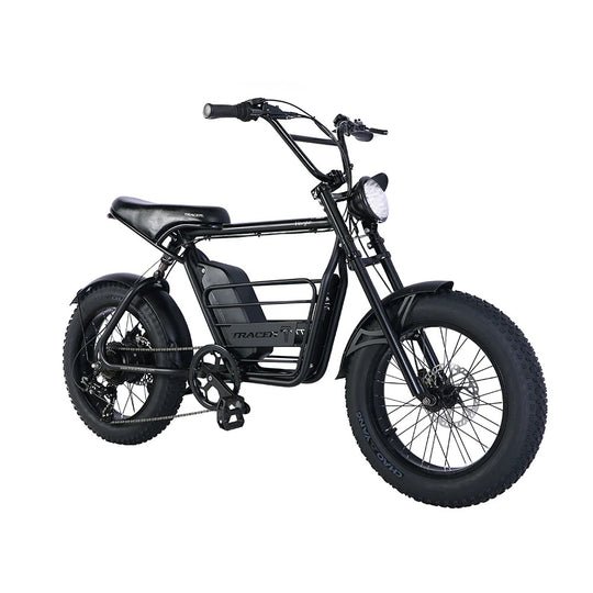 20" Verge 800W Fat Electric Motorbike