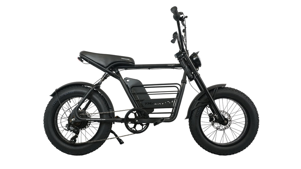 20" Verge 800W Fat Electric Motorbike