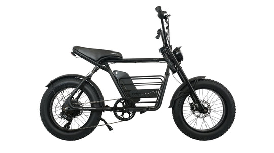 20" Verge 800W Fat Electric Motorbike