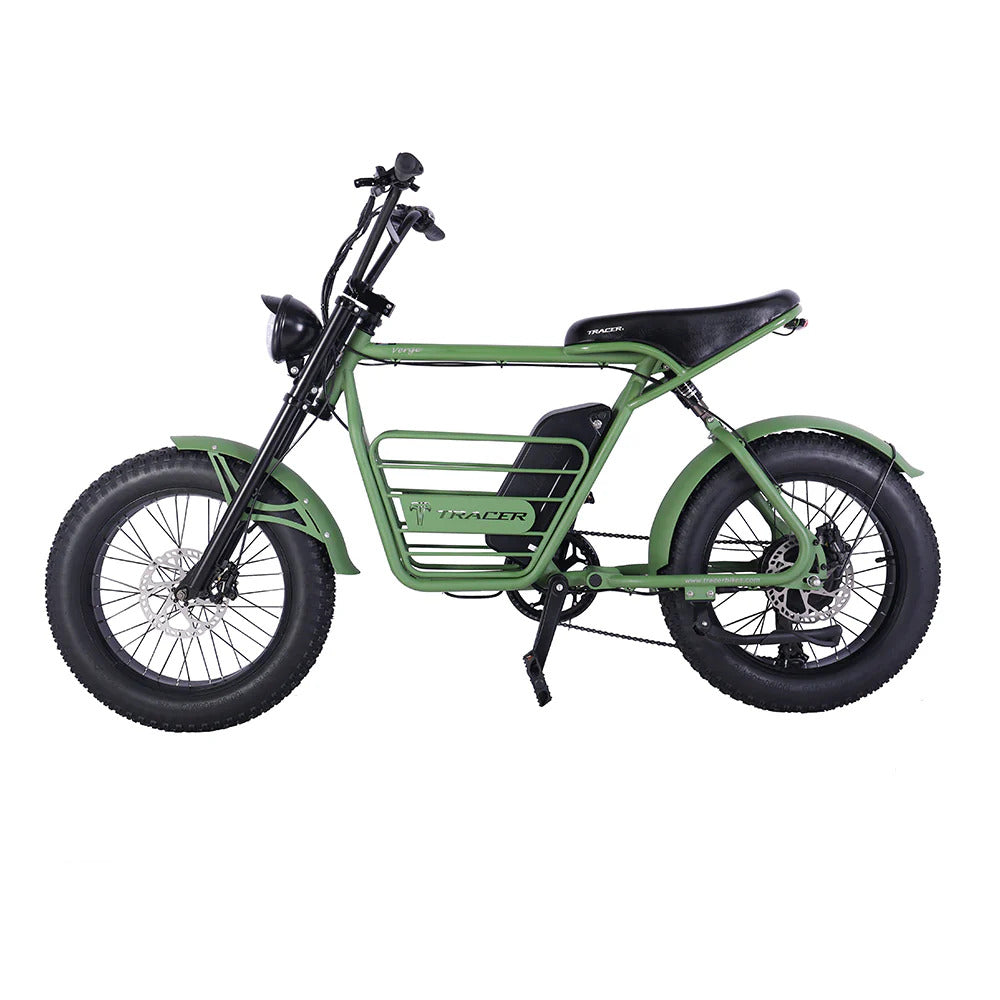 20" Verge 800W Fat Electric Motorbike