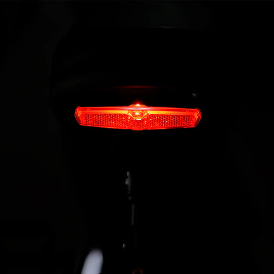 20" Verge 800W Fat Electric Motorbike