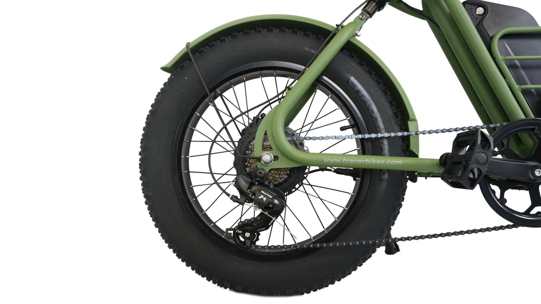 20" Verge 800W Fat Electric Motorbike