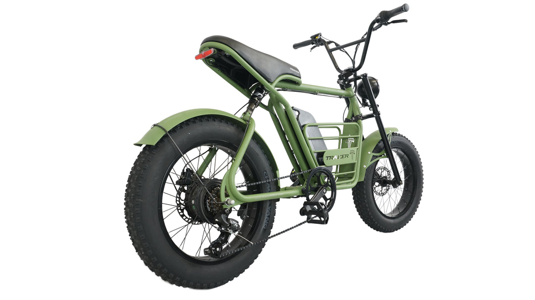 20" Verge 800W Fat Electric Motorbike