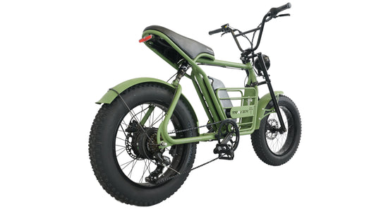 20" Verge 800W Fat Electric Motorbike
