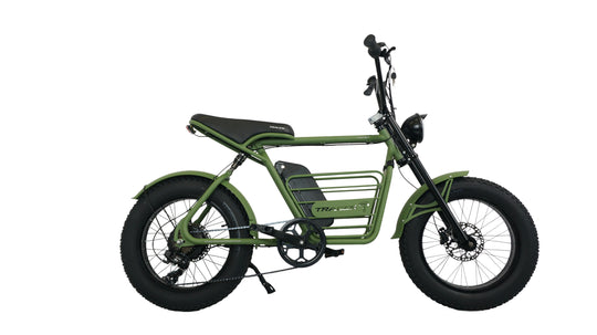 20" Verge 800W Fat Electric Motorbike